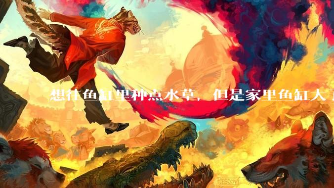 想往鱼缸里种点水草，但是家里鱼缸大了买水草泥或者底砂太贵了，有没有生活中可以替代的物品或其他建议？