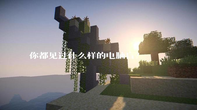 你都见过什么样的电脑盲？