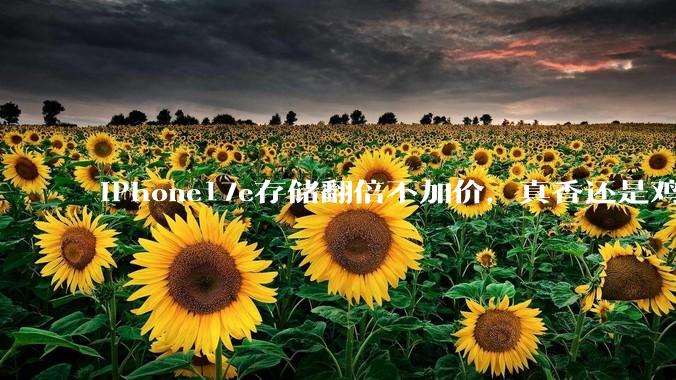 iPhone17e存储翻倍不加价，真香还是鸡肋？_苹果_系列_刘海屏