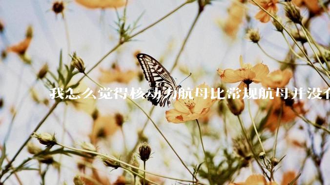 我怎么觉得核动力航母比常规航母并没有多大优势？