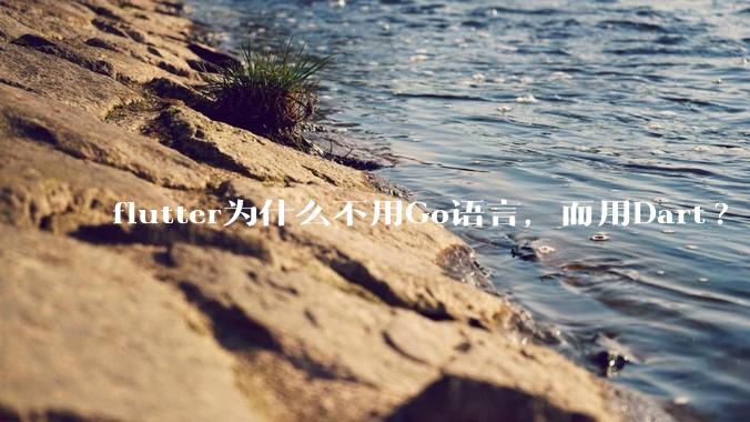 flutter为什么不用Go语言，而用Dart?